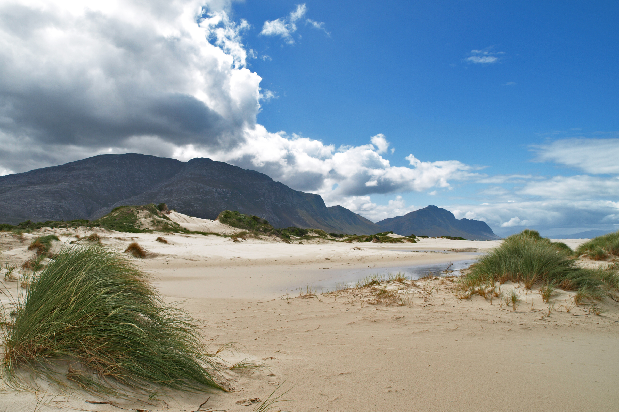 betty's bay (2).webp